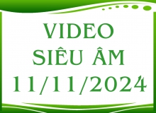 Video siêu âm ngày 11/11/2024